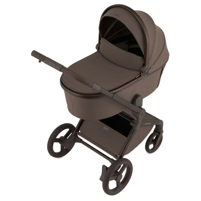 Коляска 2 в 1 Anex Flo (fl-07c) Browny 01